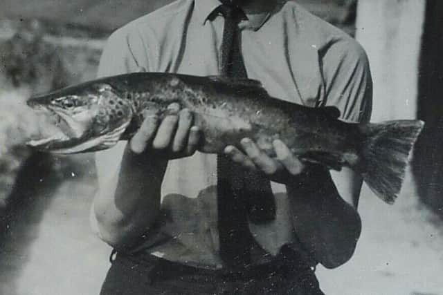 The Author in his youth