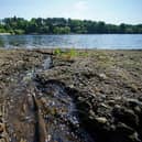 There were dozens of sewage overflows in Milton Keynes last year, according to figures from the Environment Agency