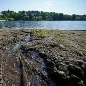 There were dozens of sewage overflows in Milton Keynes last year, according to figures from the Environment Agency