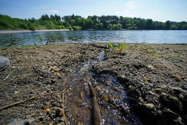 There were dozens of sewage overflows in Milton Keynes last year, according to figures from the Environment Agency