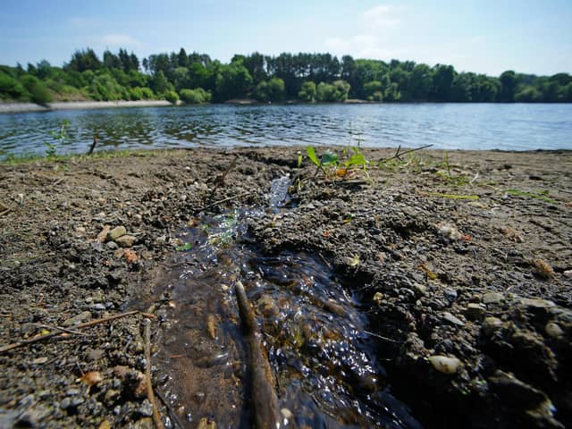 There were dozens of sewage overflows in Milton Keynes last year, according to figures from the Environment Agency