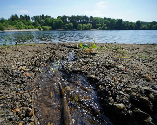 There were dozens of sewage overflows in Milton Keynes last year, according to figures from the Environment Agency