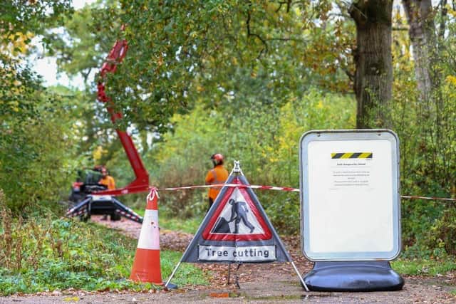 Essential tree safety works will take place in three Milton Keynes’ woodlands to manage the impact of Ash Dieback, a fungal disease that is killing ash trees across the UK.