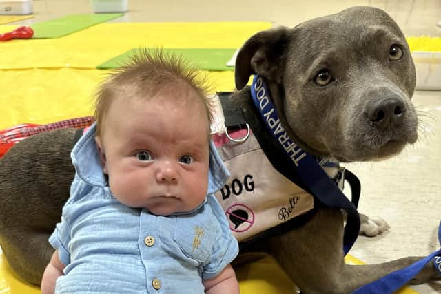 Belle is the perfect support system for a newborn baby