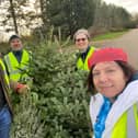 Willen Hospice Christmas Tree Collection