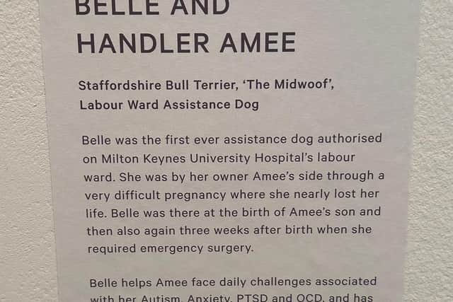 The Saatchi Gallery called Belle  the 'Midwoof' dog in their note of explanation under her portrait