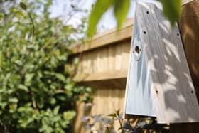 BG - The RSPB's Elegance Nest Box for various small birds