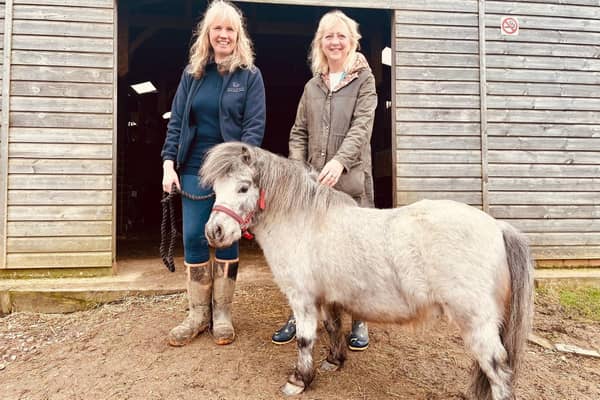 Cllr Zoe Nolan with Kelly who runs Petite Ponies just outside Milton Keynes - one of many providers involved in the City Council’s spring activity week and offer dedicated experiences for children with special educational needs