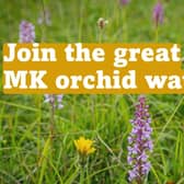 There are 57 species of orchid growing wild in Milton Keynes
