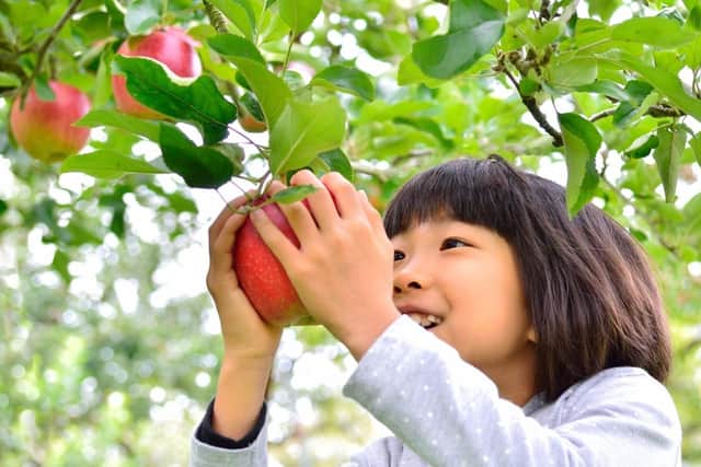 Don't miss Apple Day in Milton Keynes this month
