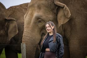 Elephant Encounter at Woburn Safari Park. Photo: WSP