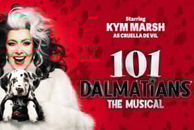 101 Dalmatians Show Artwork
