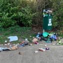 Is MK becoming Trash City due to people dumping litter?