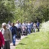 Record numbers of people have enjoyed parks and woodland in MK during 2022