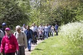 Record numbers of people have enjoyed parks and woodland in MK during 2022