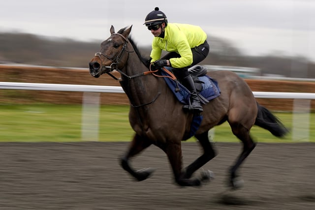 Unquestionably the most exciting horse to look forward to at this year's festival is CONSTITUTION HILL, the odds-on favourite for Tuesday's Unibet Champion Hurdle  (3.30). Nicky Henderson's 6yo was a sensational winner of the opening novice hurdle race here last year and is already being talked about as potentially one of the greatest horses in National Hunt history. He is unbeaten, and many believe he is unbeatable.