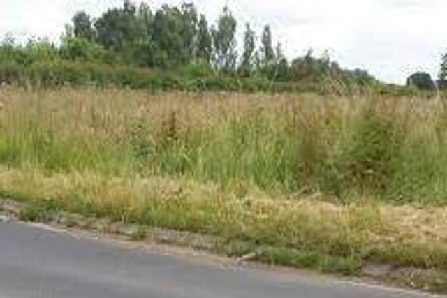 The council is mowing 'sight strips' only on verges in Milton Keynes