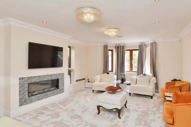 The 'chic' living room has has an electric fireplace an air conditioning system, a smart thermostat and zoned entertainment system.