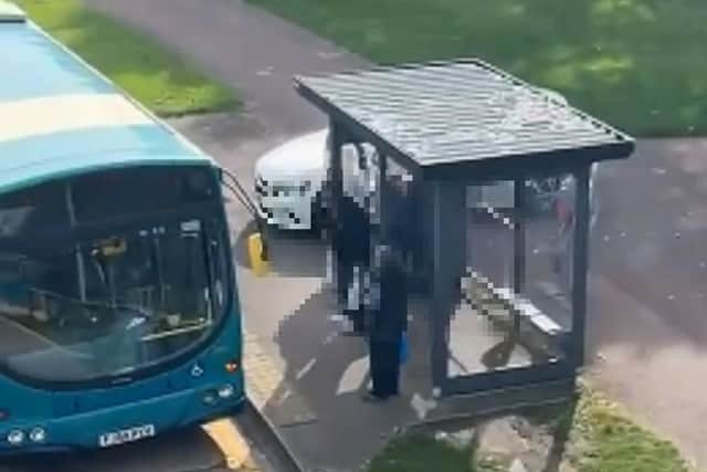A screenshot from a video showing the driver on the footpath near a bus and bus stop full of passengers