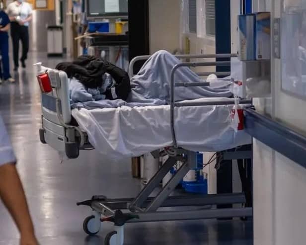 Dozens of people died from the heat in the Thames Valley last year, according to figures from the UK Health Security Agency