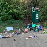 Litter louts are making a mess of MK