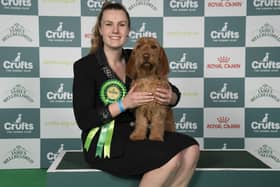 Antonia Leech, from Milton Keynes, with Margaux, a Basset Fauve de Bretagne which was the Best of Breed winner  on the first day of Crufts 2025. Photo: BeatMedia / The Royal Kennel Club