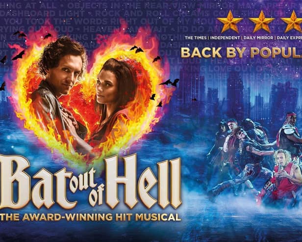 Bat Out Of Hell - MK Artwork
