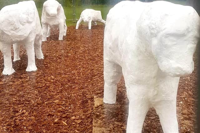 The concrete cows are having a makeover