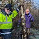 Volunteers plant a dead stump 'snag' to attract more bugs to Milton Keynes