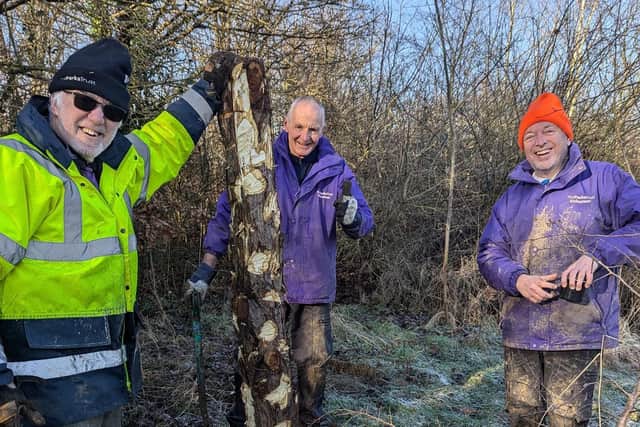 Volunteers plant a dead stump 'snag' to attract more bugs to Milton Keynes