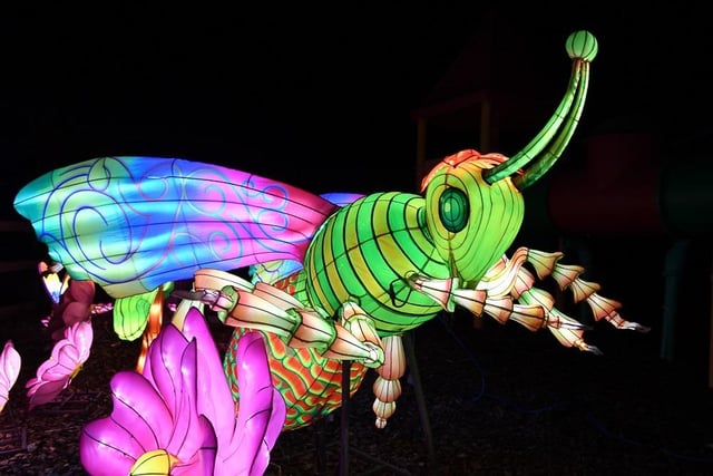 The Festival featured vivid dreamworlds with gigantic lanterns inspired by animals, mega monuments and wonders of the natural world