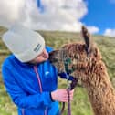 Ben Aitken gets to know alpaca Arnie during his tour of unsung cities