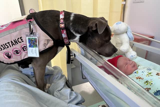 Belle checked over baby Olly as soon as he was born