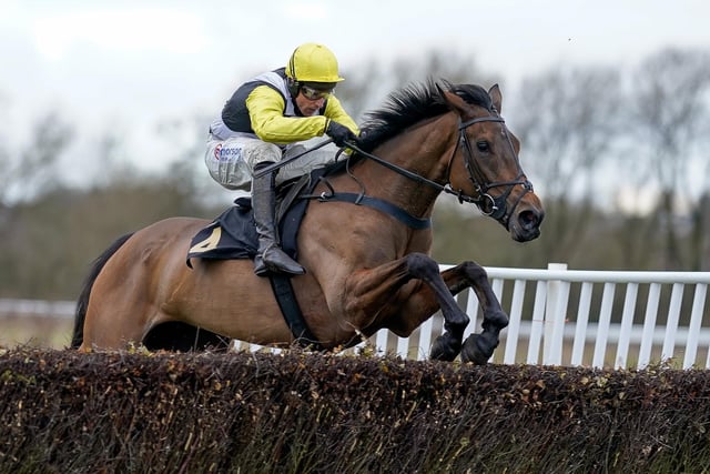 The Skelton brothers, trainer Dan and jockey Harry, took the fight to the Irish at the Cheltenham Festival with four winners. Can he also upset the applecart with this 8yo mare, who looked a top-class prospect when bolting up in a Grade Two chase at Warwick last season. She hasn't really built on that since, but will relish both the 4m2f trip and the probable Soft going at Aintree.