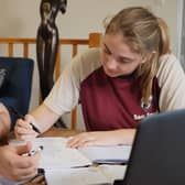 Tutor teaching online skills