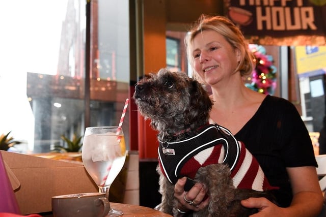 There was a chance to enjoy some doggy treats while waiting for Santa Paws to come to town