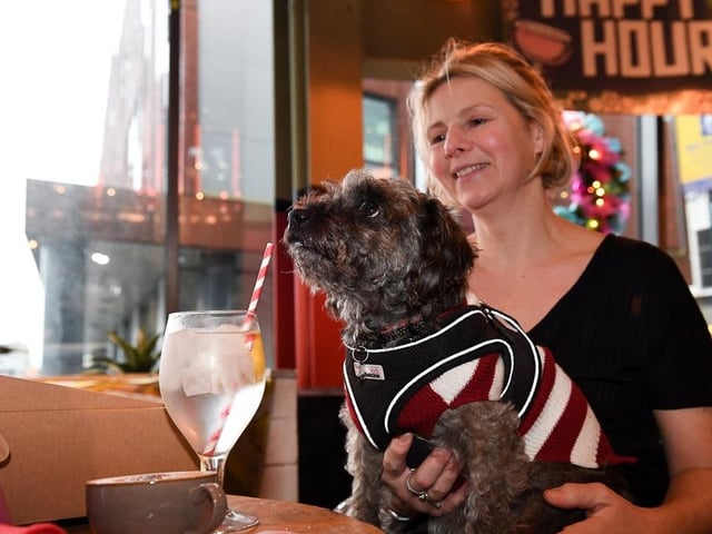 There was a chance to enjoy some doggy treats while waiting for Santa Paws to come to town