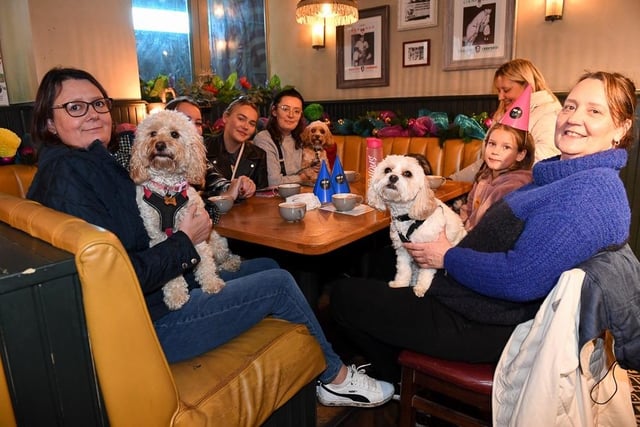 All paws were welcome at the event with unlimited 'puppuccinos' and doggy treats served during the afternoon