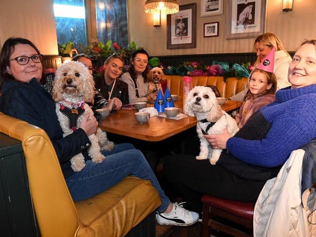 All paws were welcome at the event with unlimited 'puppuccinos' and doggy treats served during the afternoon