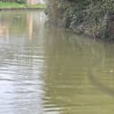 Pictures taken early on Friday morning 1st April