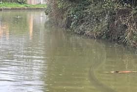 Pictures taken early on Friday morning 1st April