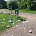 The sun has brought out the litter louts in Milton Keynes parks