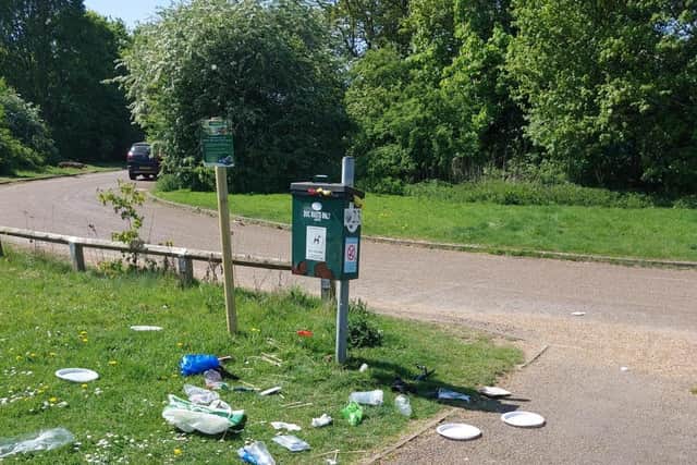 The sun has brought out the litter louts in Milton Keynes parks