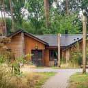 Strange things are left behind by guests at Centre Parcs!