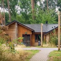 False leg, a wedding dress and a glass eye - these are some of the bizarre items guests leave behind at Centre Parcs near Milton Keynes