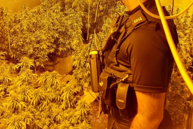 Officers found a cannabis farm inside the house