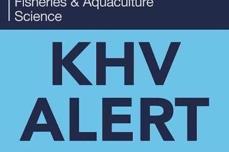 Government confirms outbreak of deadly Koi herpesvirus in Milton Keynes