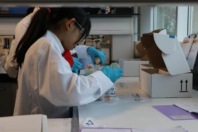 A pupil gets the opportunity to carry out some laboratory testing