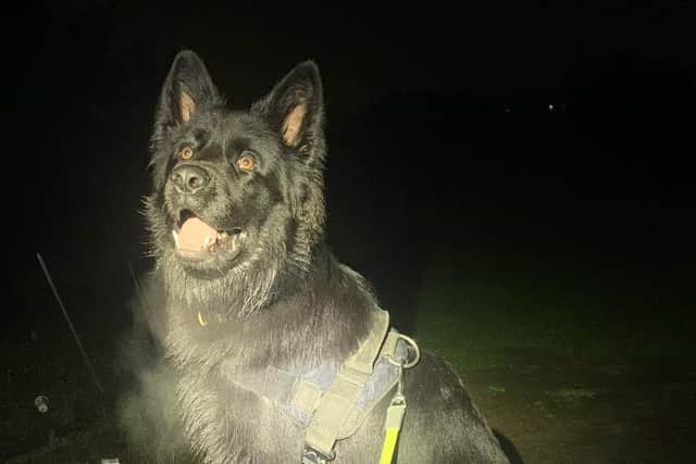 Police dog Tyler has sniffed out a large drug haul in Milton Keynes