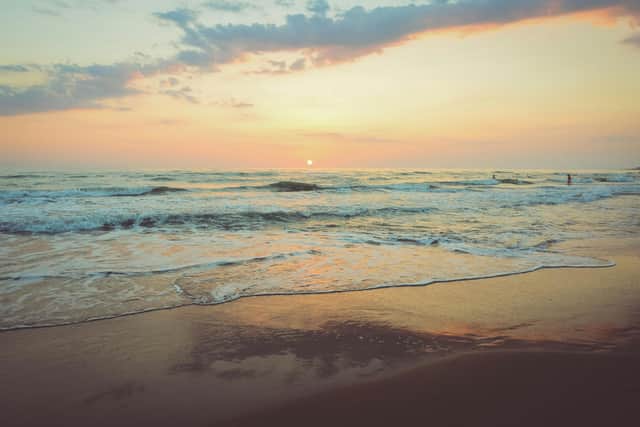 Photo by Camille Minouflet on Unsplash
